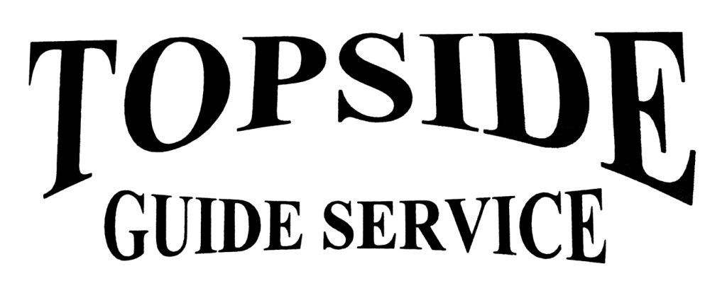 Logo TopsideGuideService