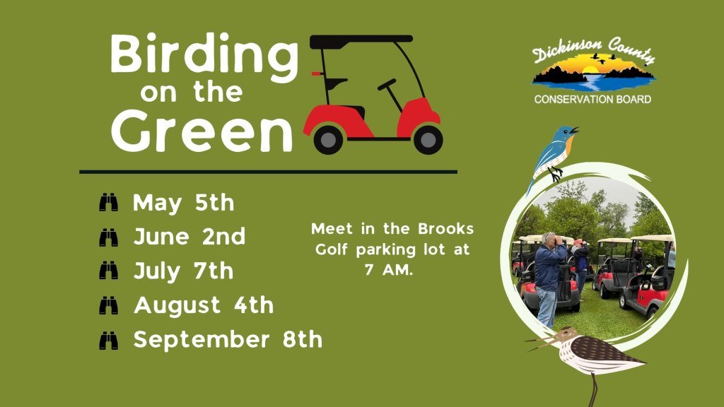 Birding on the Green 7 image