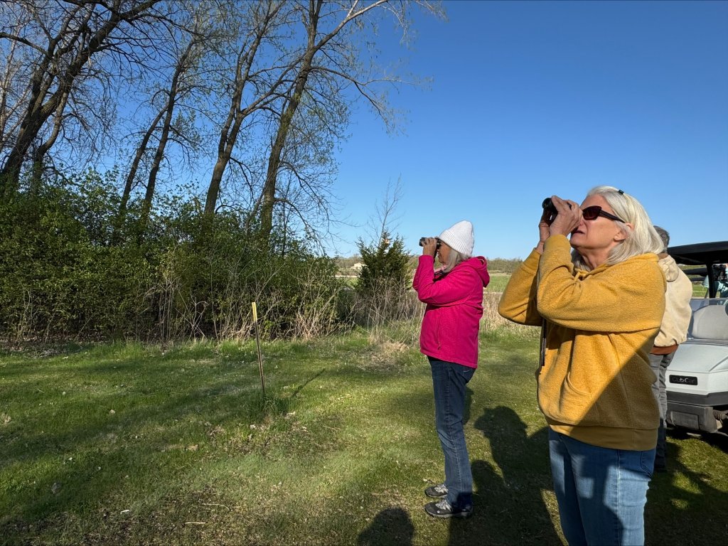 processed B84C689A C3FC 440B 842E C66703969240