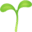Moss Frame Workshop 2