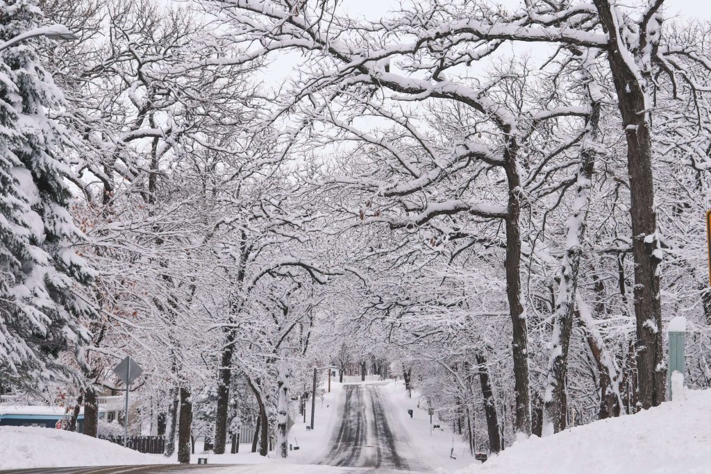 2023Winter 11 scaled 1