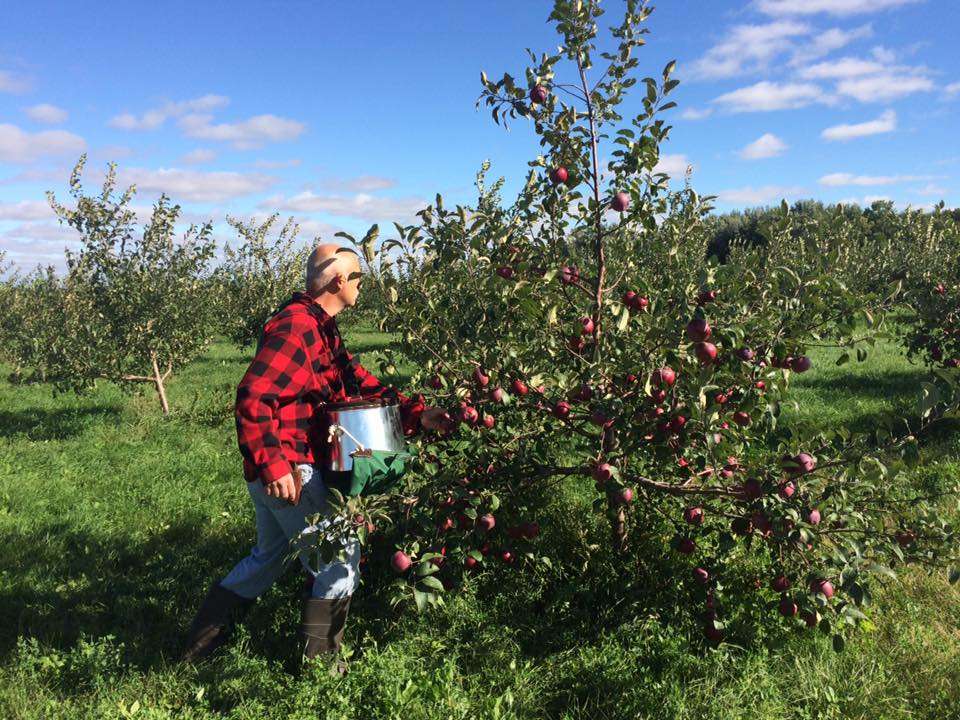 Little Sioux Orchard