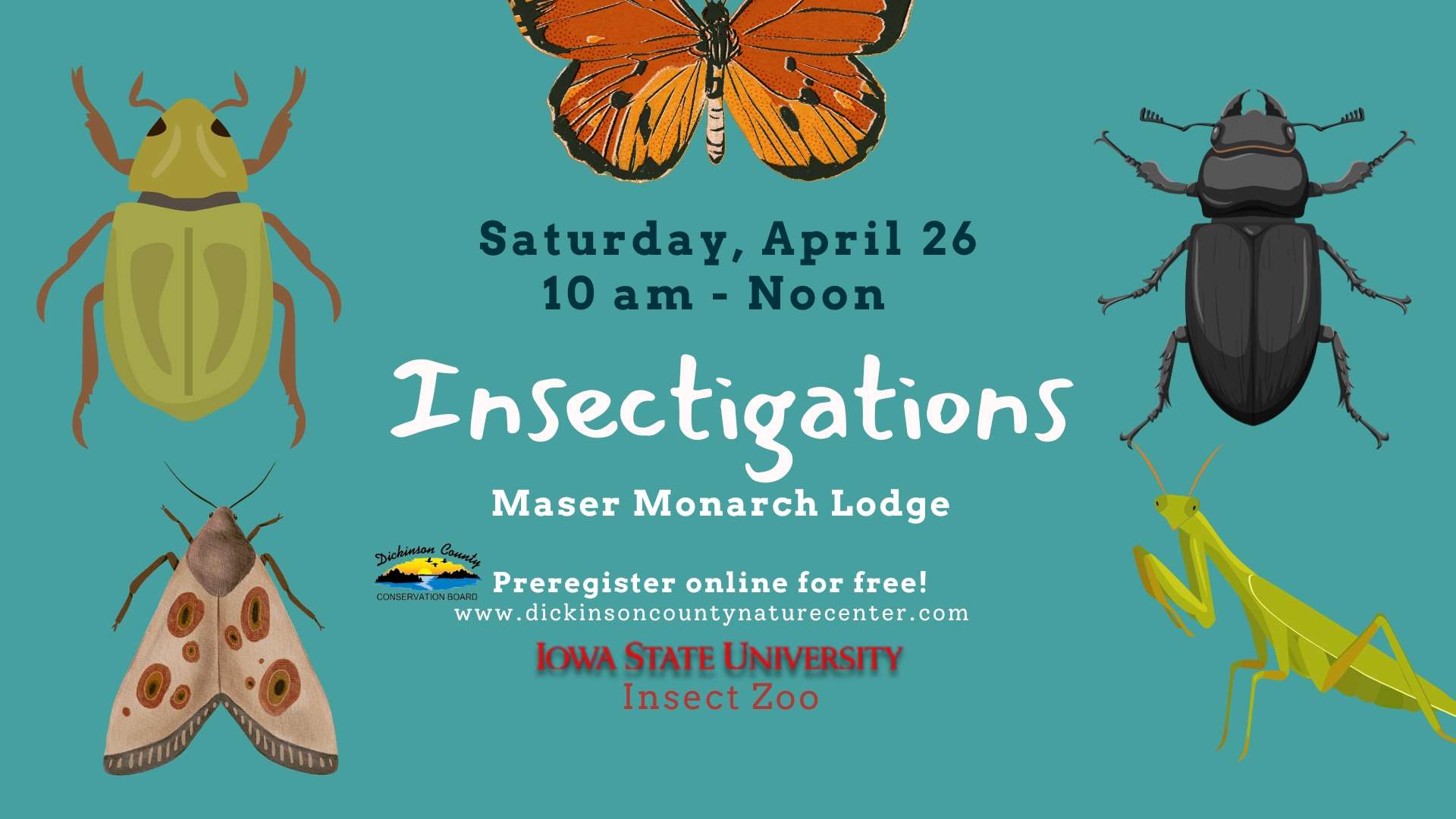 Insectigations