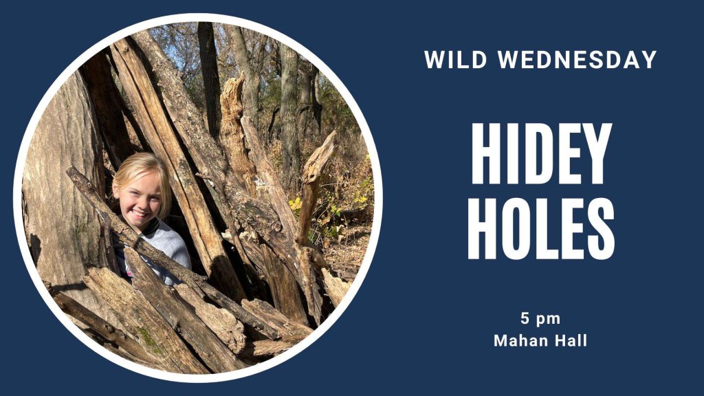 Wild Wednesday: Hidey Holes 17 484933999 1199327985534494 4886658867299762907 n