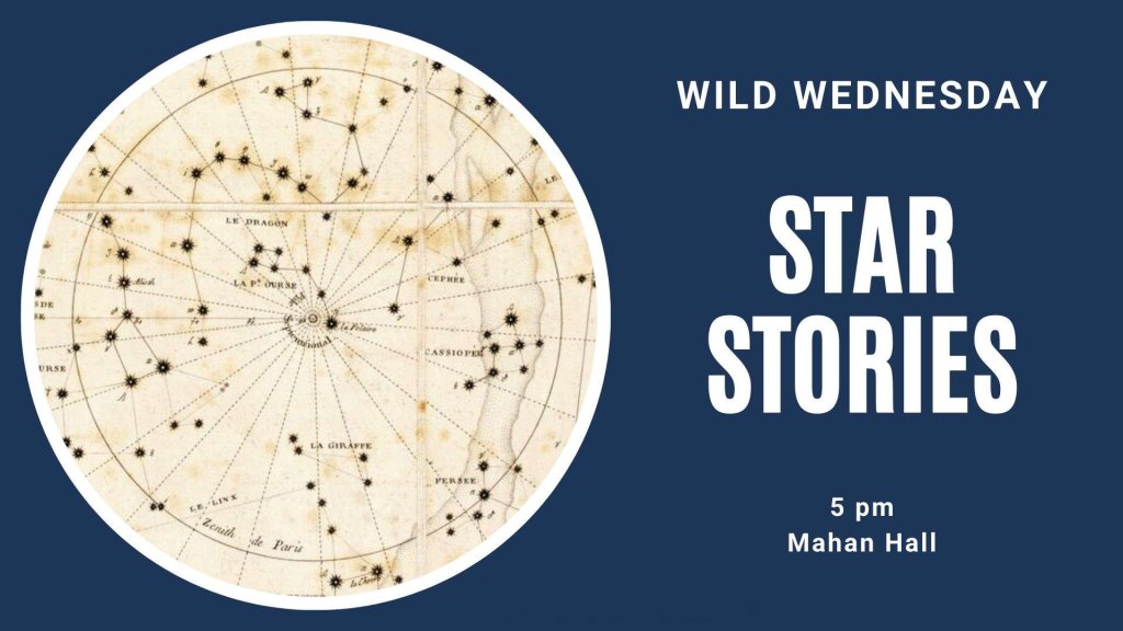 Wild Wednesday: Star Stories 14 485053259 1199323022201657 4623697312380517115 n