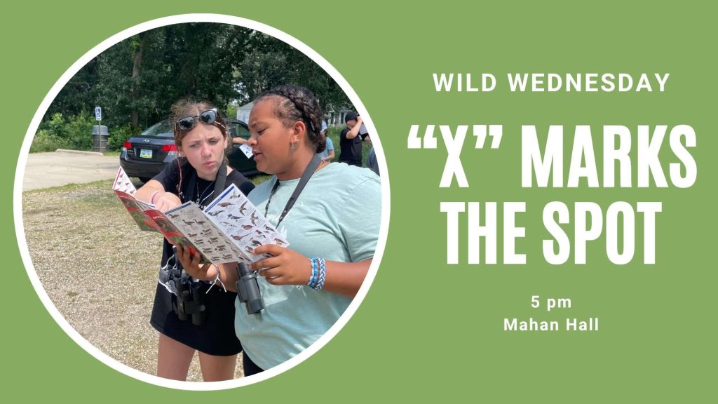 Wild Wednesday: X Marks the Spot 10 485140528 1199329362201023 7867464707307289680 n