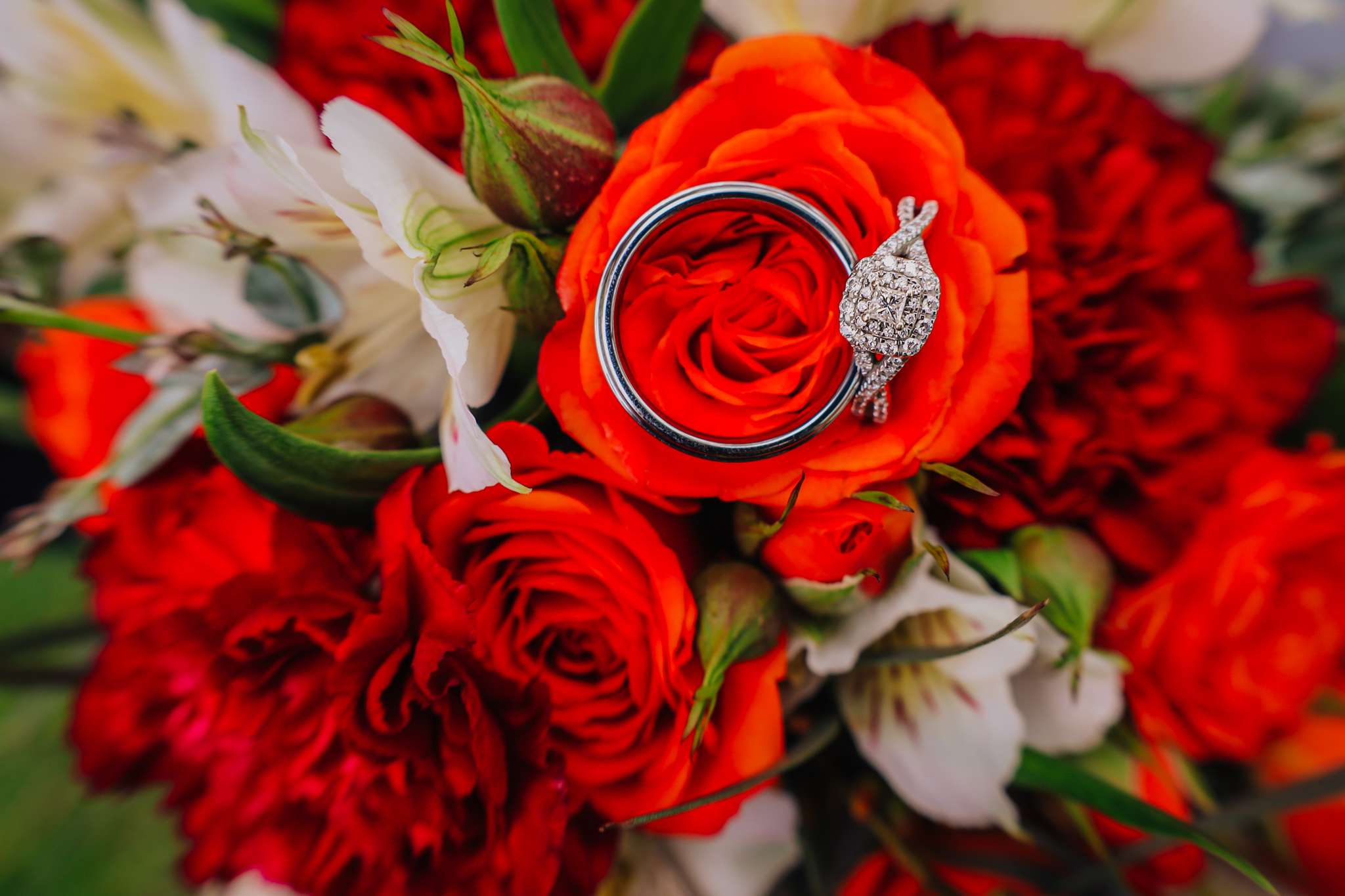 Joslyn Michelle Photography & Design
