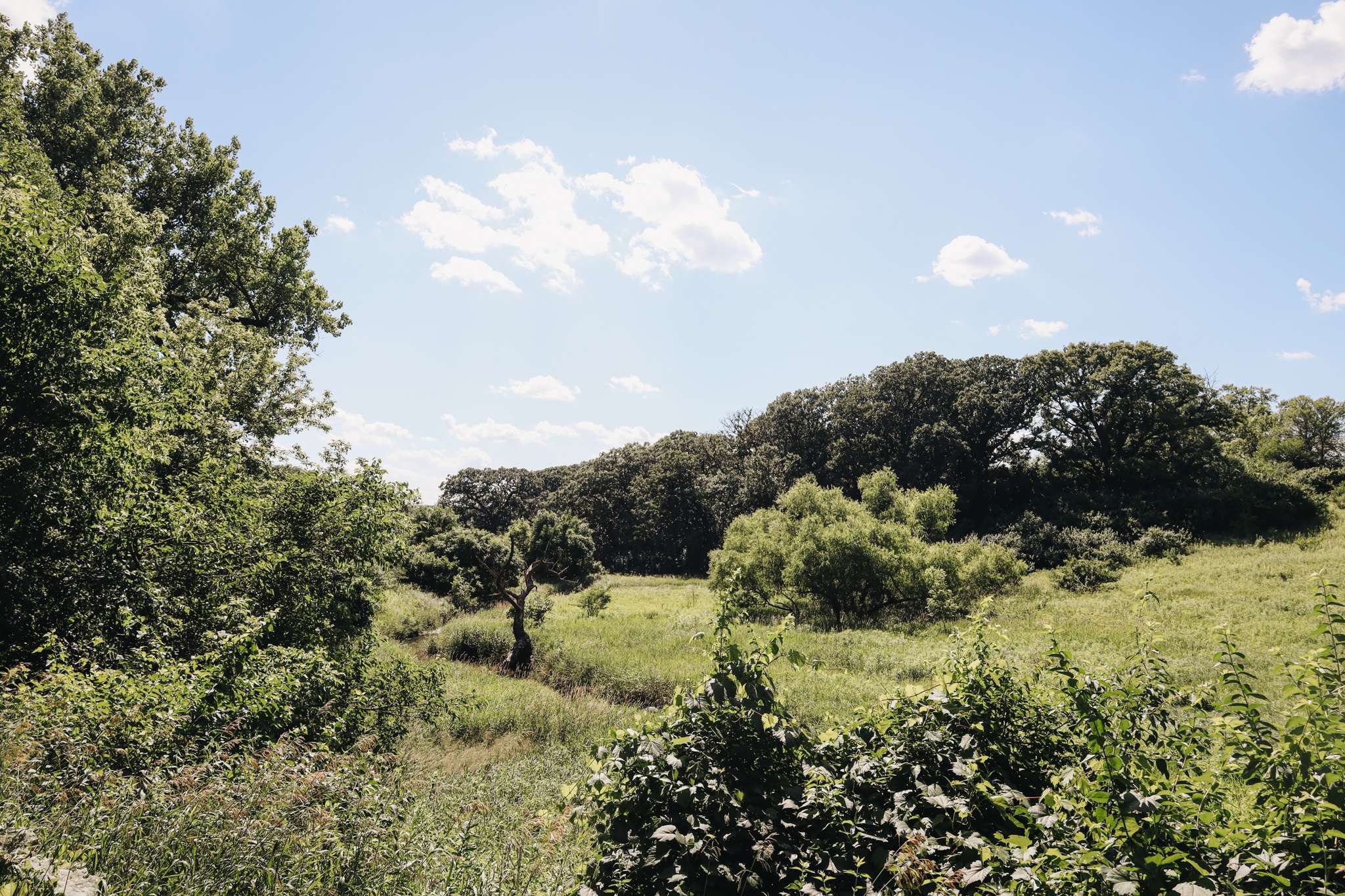 Elinor Bedell State Park