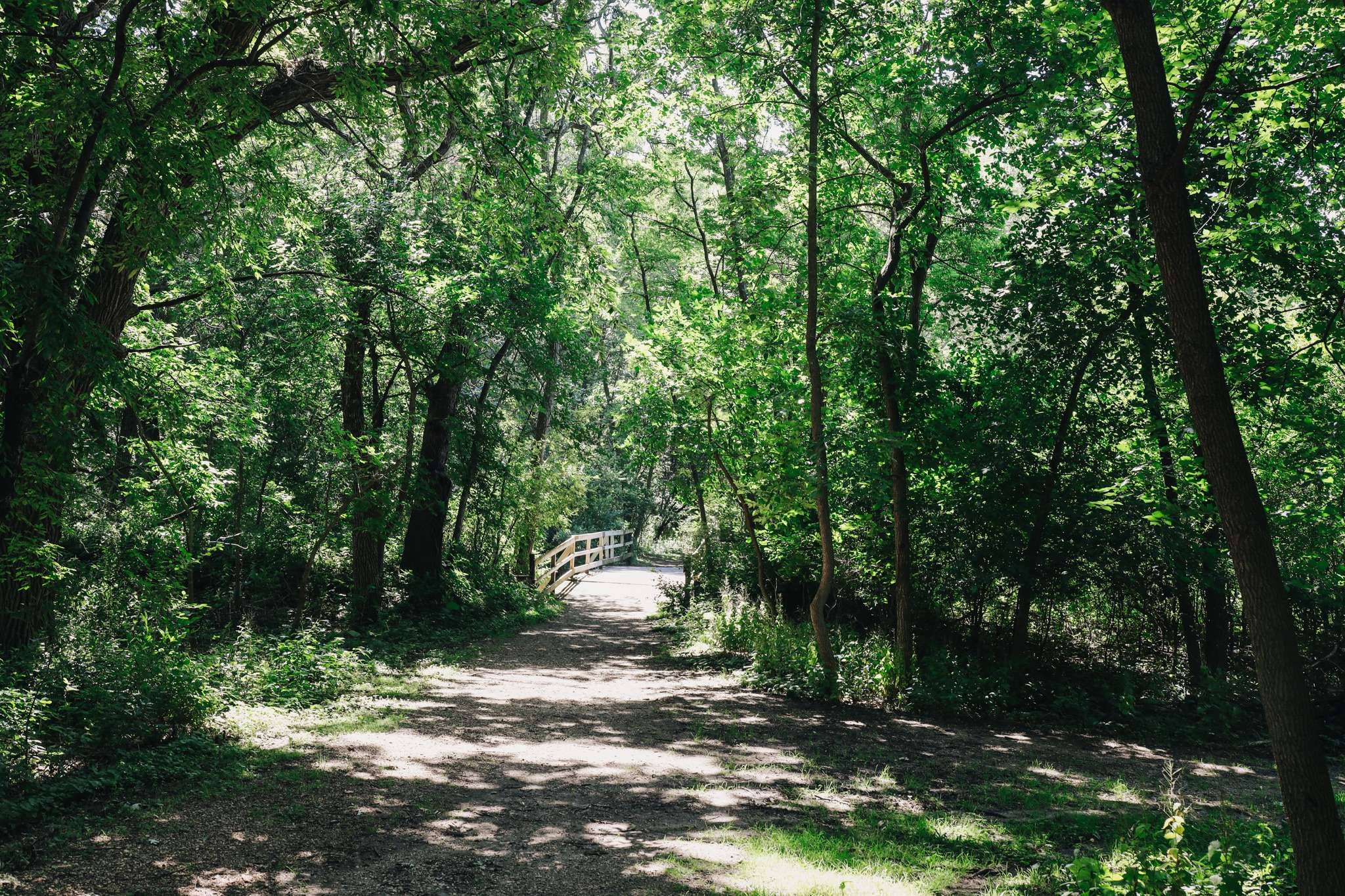 Gull Point State Park – Barney Peterson Memorial Trail