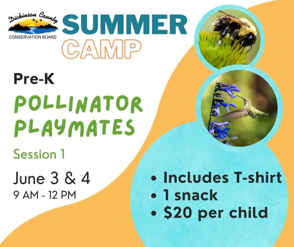2024 summer camp nature center
