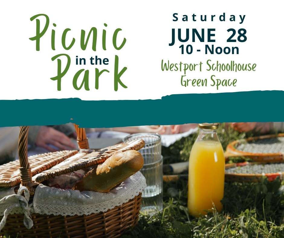 Picnic in the Park 9 66d753ce02ad13d1850c4136