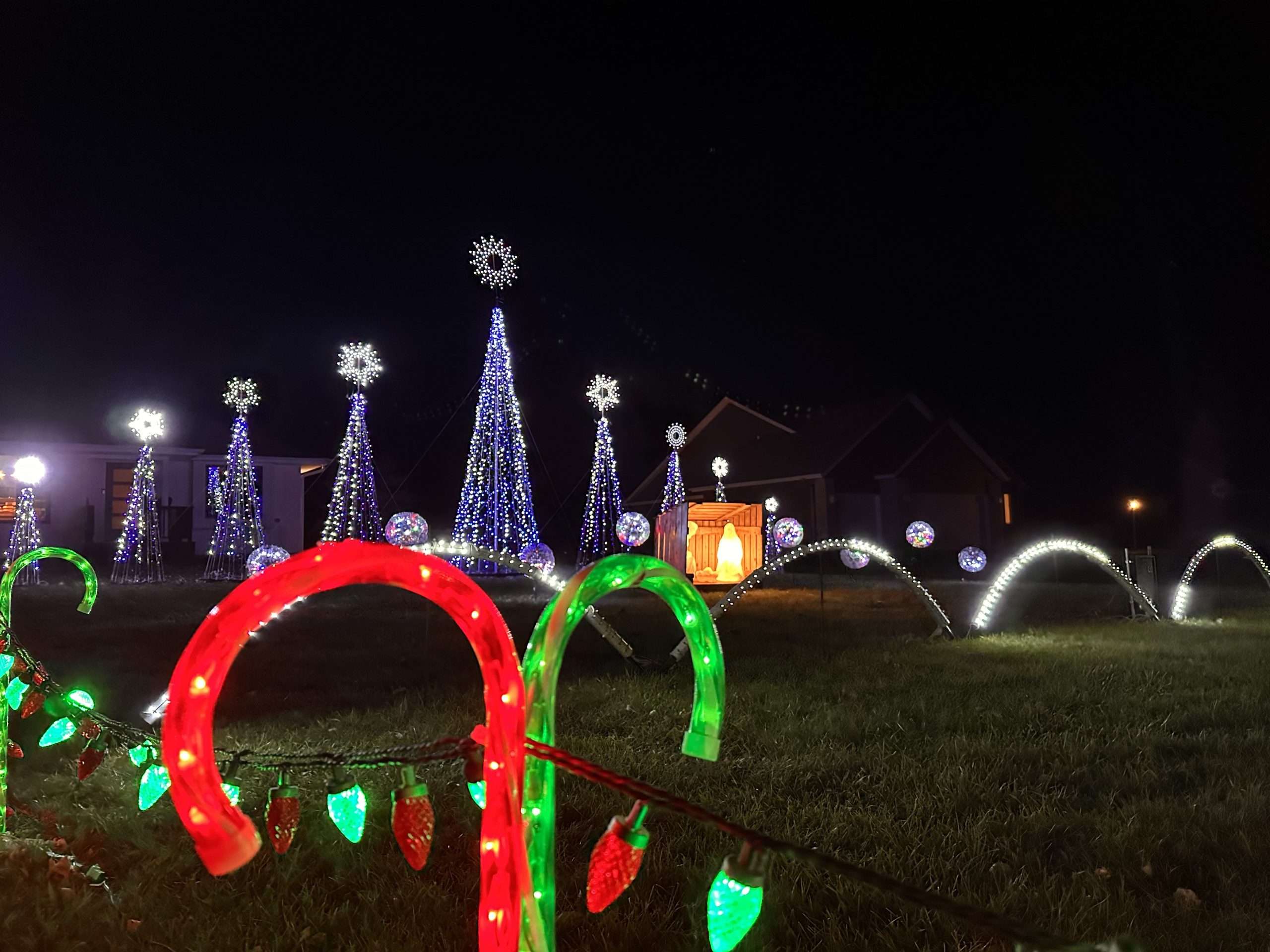 light display for the holiday season