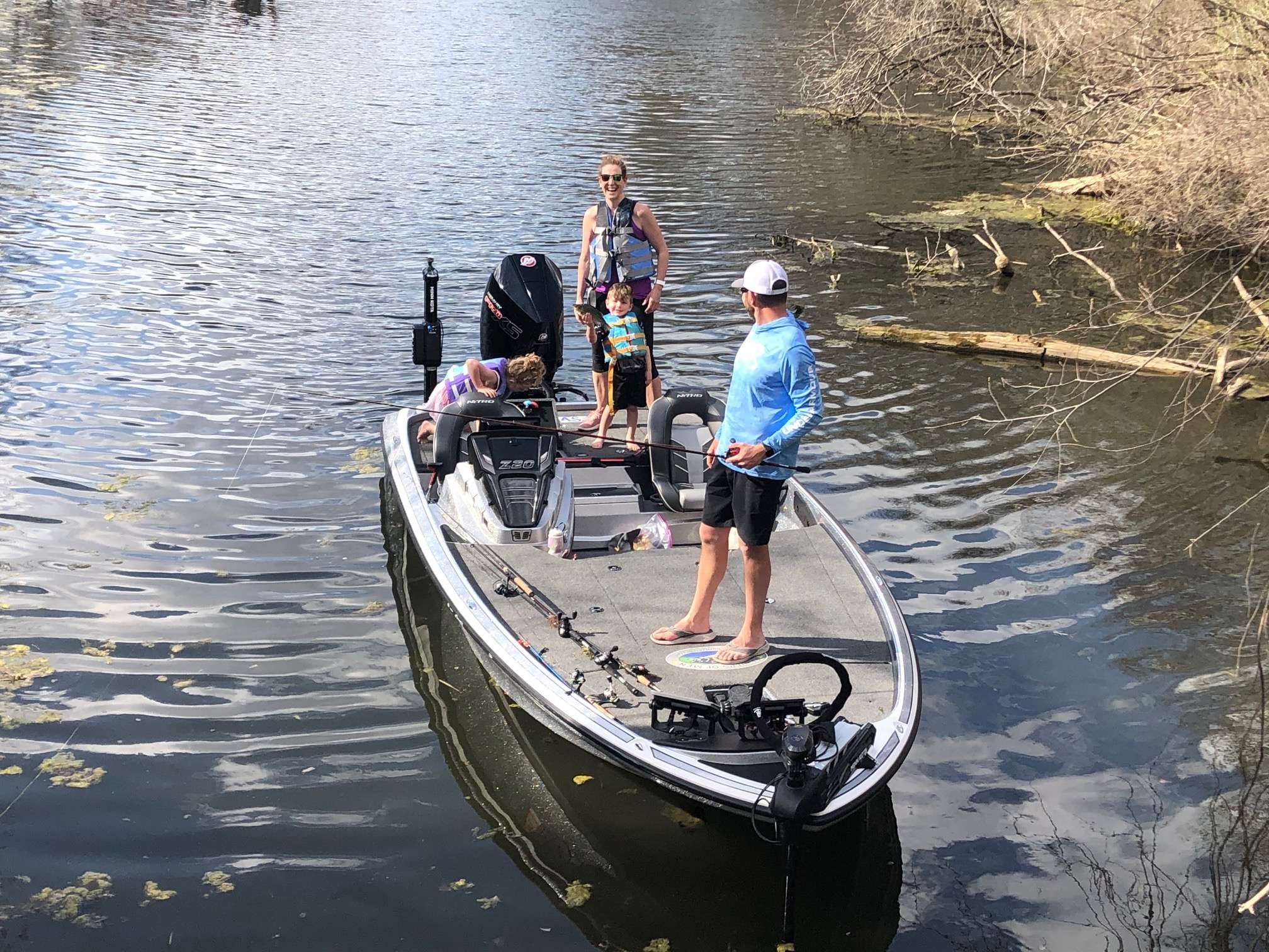 Family Fish 