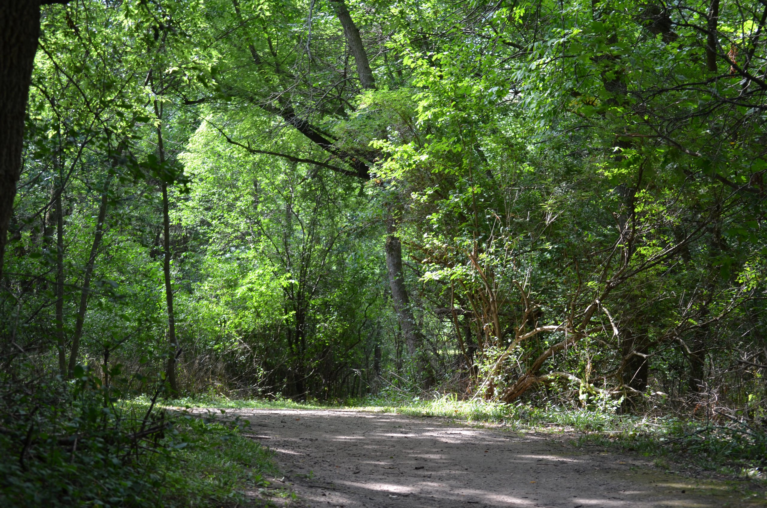 Gull Point Trail