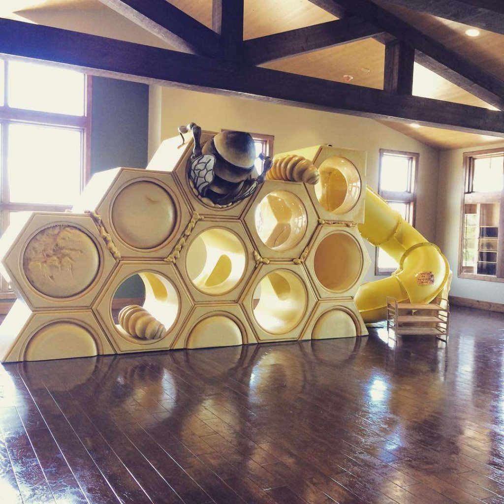 Nature Center Display