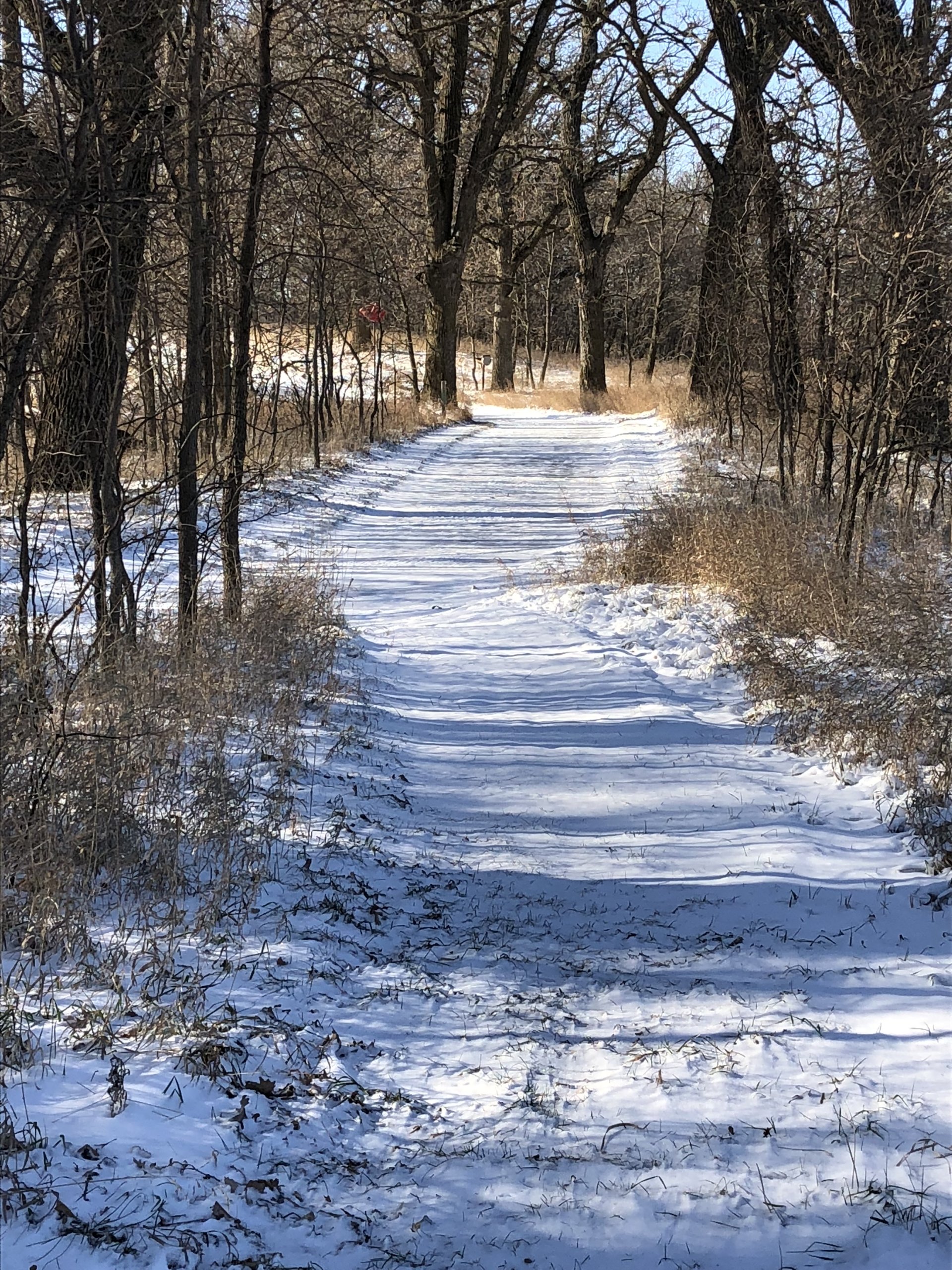 Winter trail