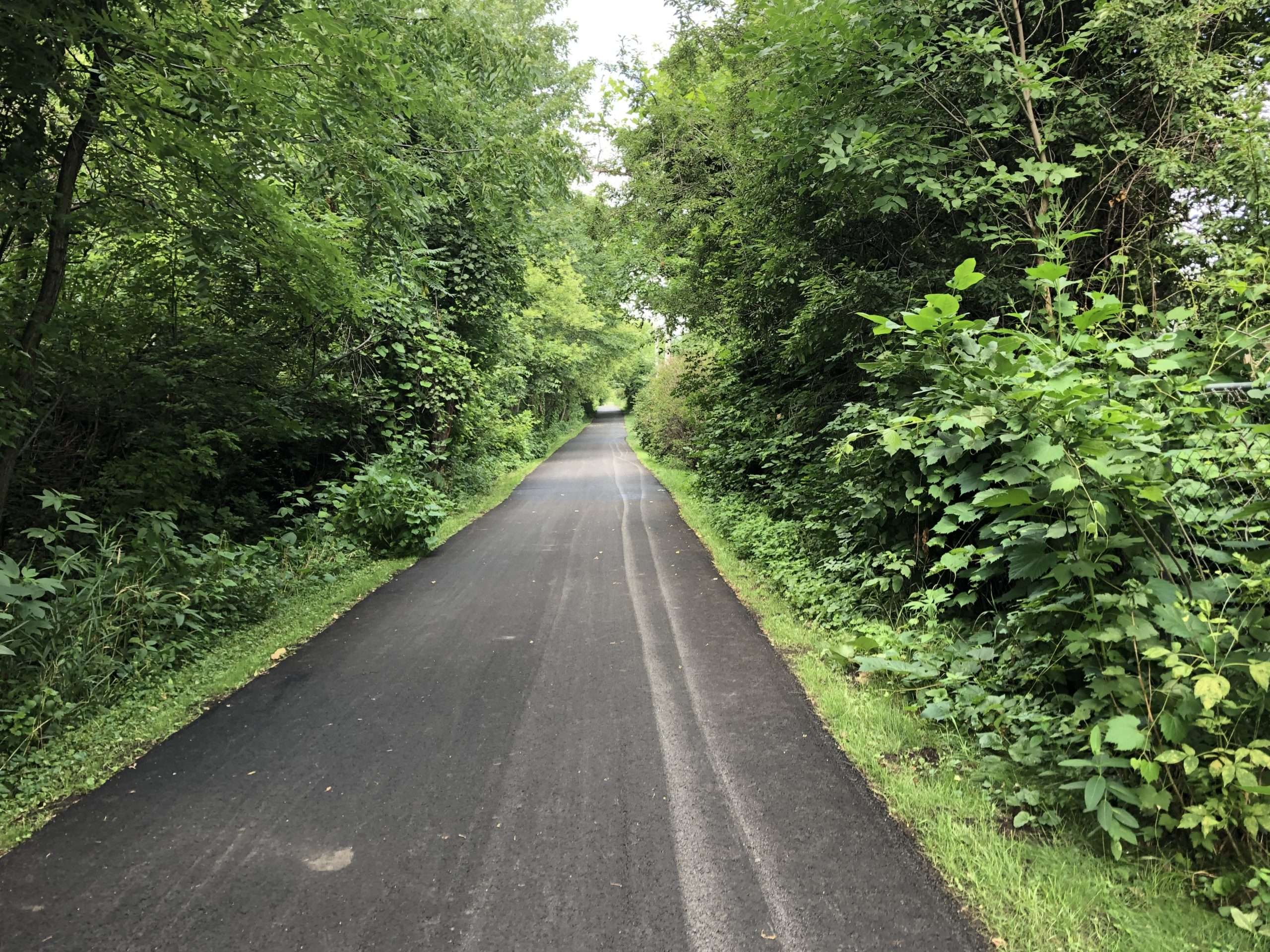 Bike Trail