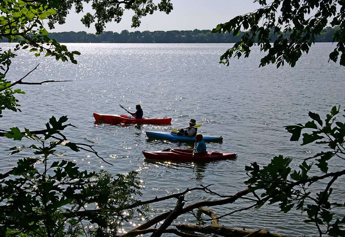 Kayak