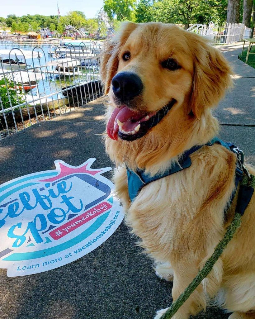 Furry Friends Welcome in Okoboji! 45 okoboji dog