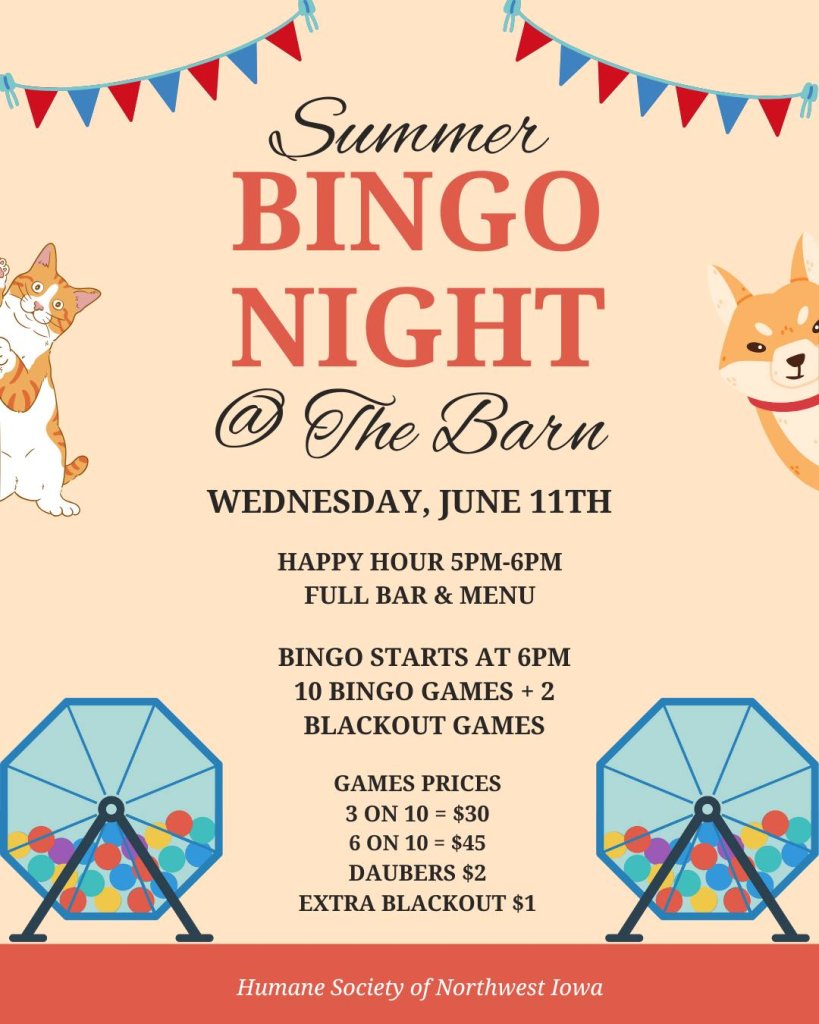 Summer BINGO night 12 490939404 1109396461215702 7387443666494020548 n