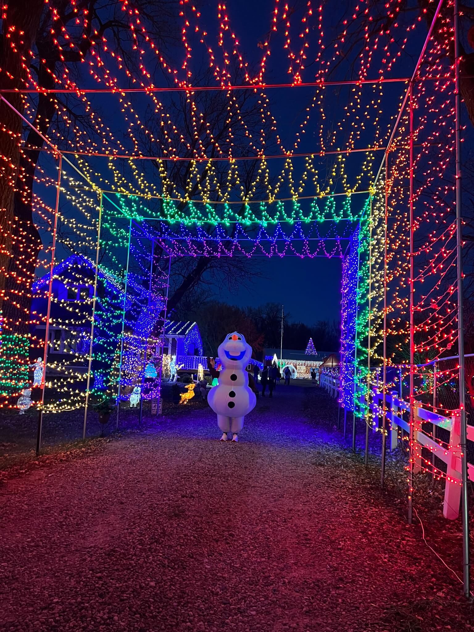 Christmas Grand Lighting 1 image 11