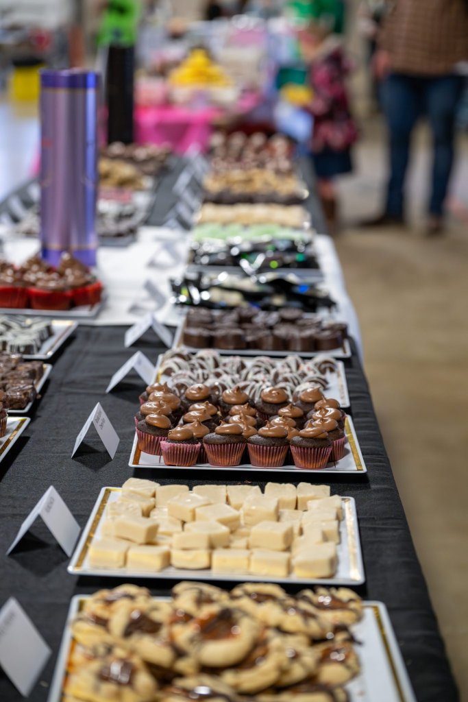 UFO WG Chocolate009 scaled 1