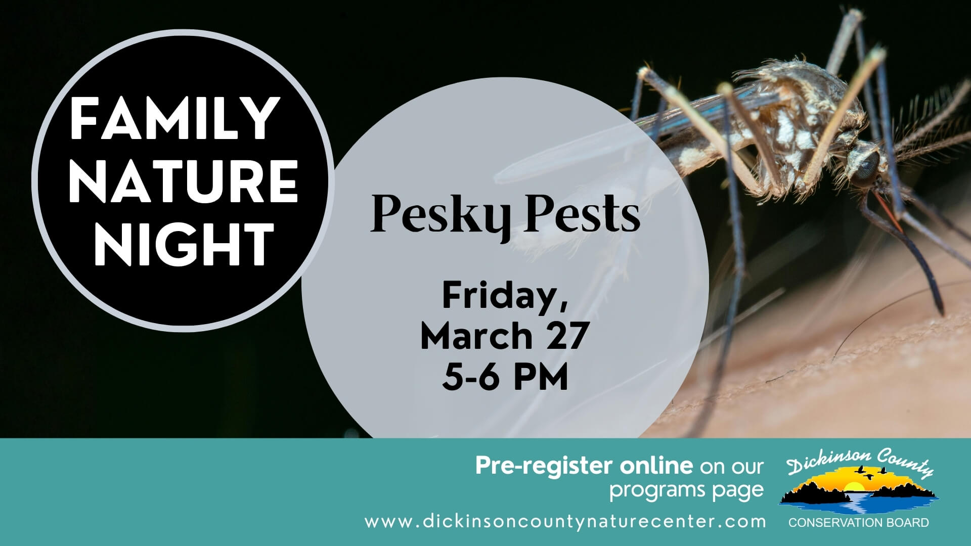 628173194 1308238344683992 7786945023251921239 n