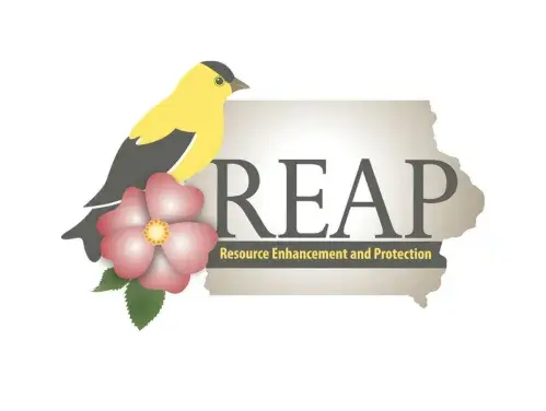 REAP Logo 405 x 304.png