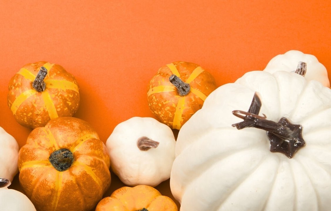Pretty Pretty Pumpkin 4 Pretty Pretty Pumpkin